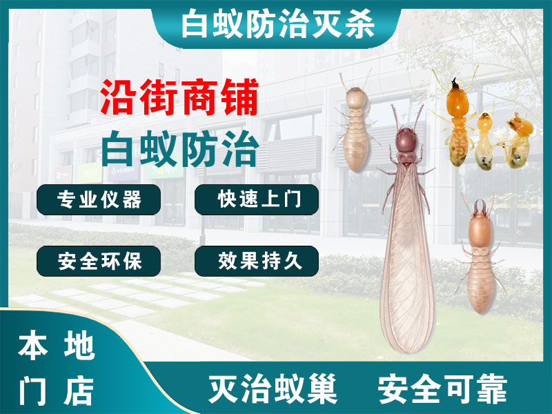 梁溪沿街商铺白蚁防治