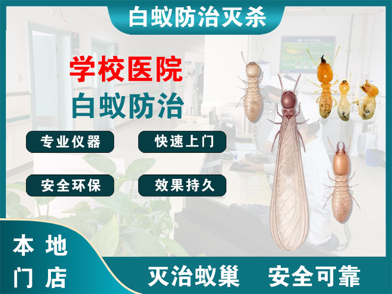 梁溪学校医院白蚁防治