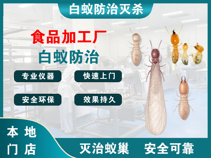 梁溪食品加工厂白蚁防治