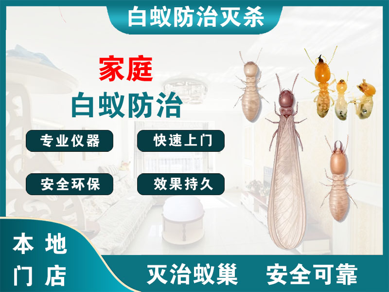 梁溪家庭白蚁防治