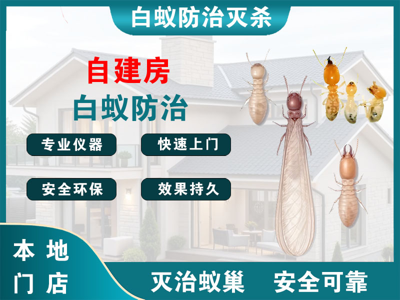 梁溪自建房白蚁防治