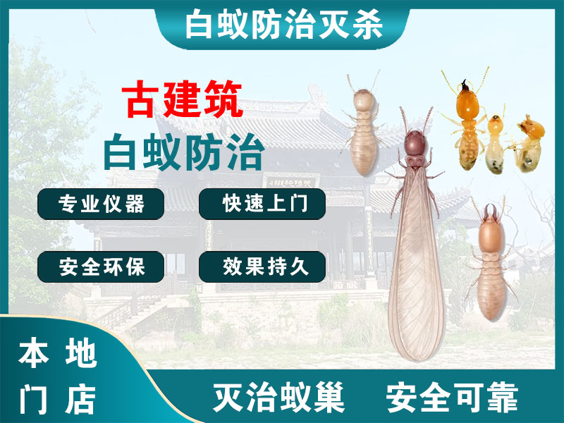 梁溪古建筑白蚁防治