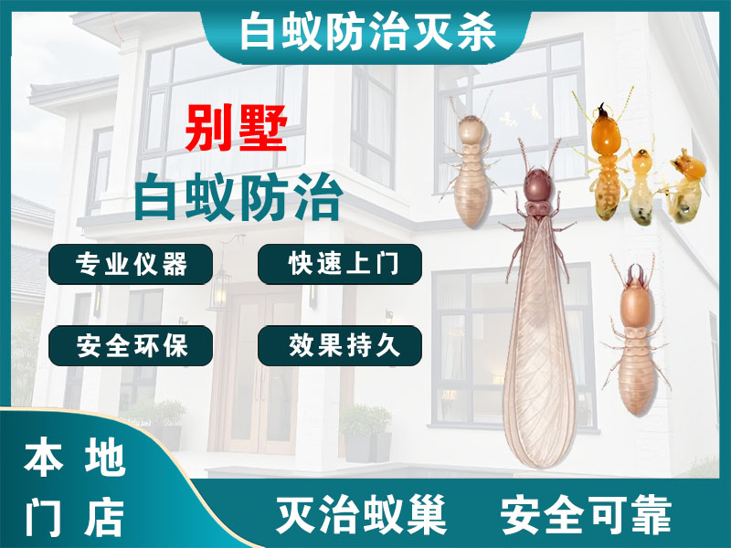 梁溪别墅白蚁防治